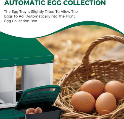 Automatic Egg‑Collecting Nesting Box