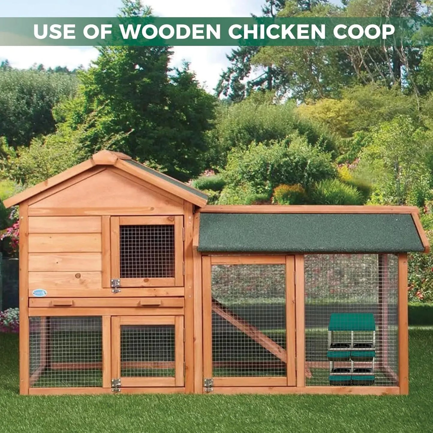 Automatic Egg‑Collecting Nesting Box