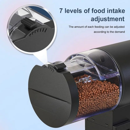 Auto Fish Feeder for Aquariums