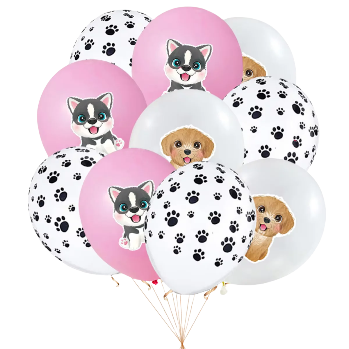 Disposable Tableware, Gift Bags, Backdrop, Cake Topper, Banner & Plates for Girl’s Puppy Party