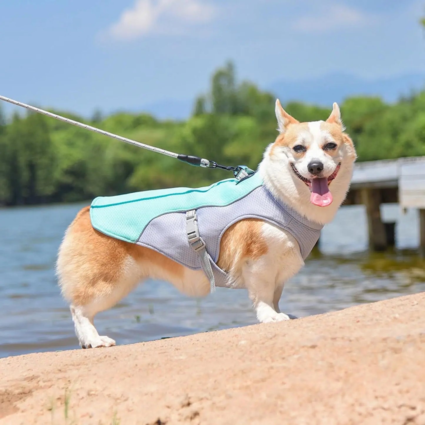 Pet summer clothes, heatstroke prevention, ventilation and cooling.