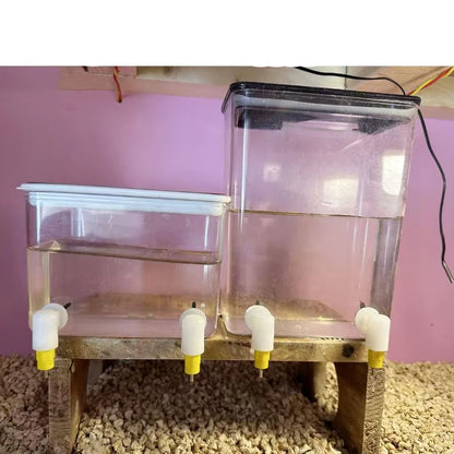 Fully Automatic Needle Water Dispenser Lubing Automatic Water Dispenser Quail Chick Double Sealed