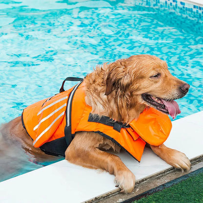 Dog Life Jacket with Wings Design, Swim Safety for Pool & Beach.