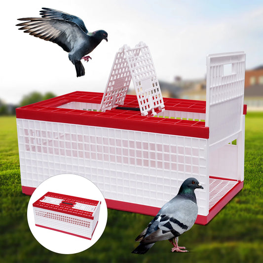 Foldable Cage Ideal for racing pigeons, training, transport, and shows