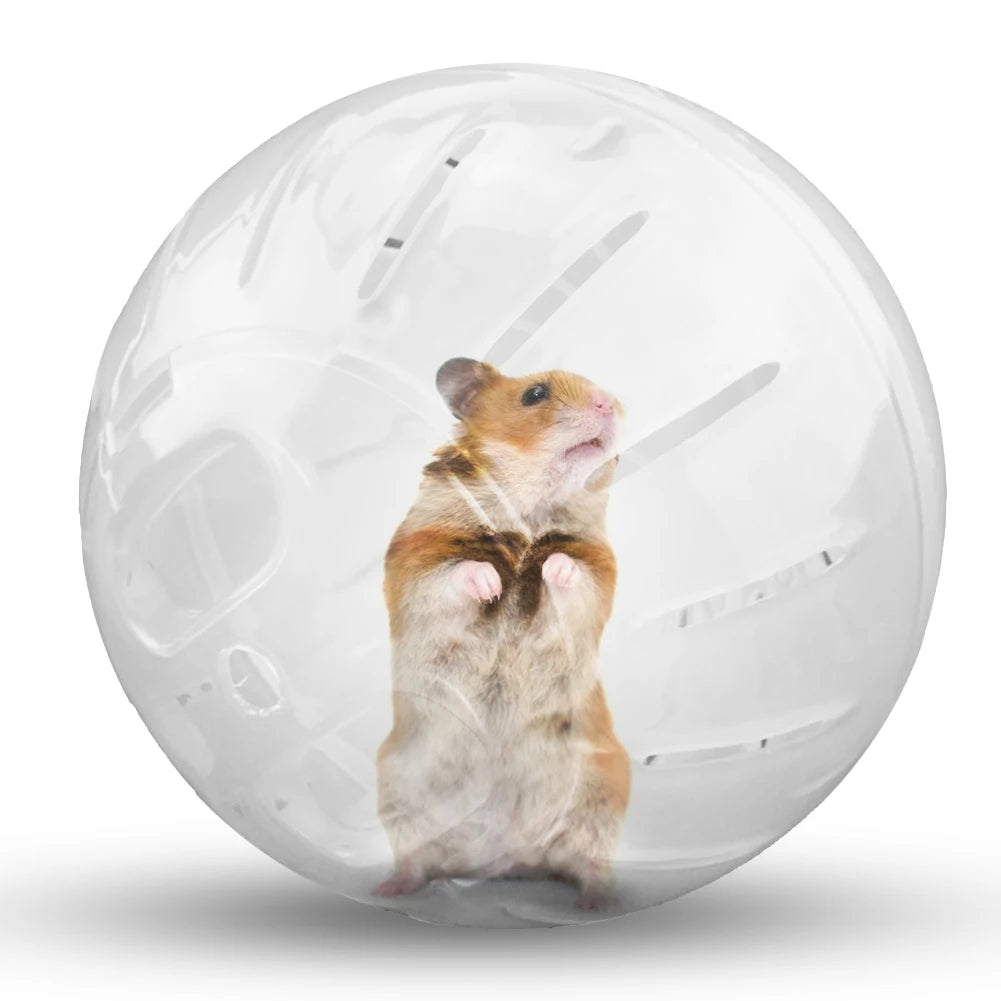 Pet Fitness Running Ball – Solid Plastic Jogging Ball for Hamsters & Rodents