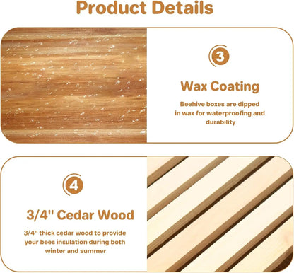10‑Frame Deep Brood Box, wax‑coated, Langstroth‑style, unassembled. Deep Brood Box Kit – Wax‑Coated with Frames & Wax Foundations.
