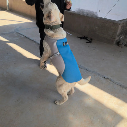 Pet summer clothes, heatstroke prevention, ventilation and cooling.