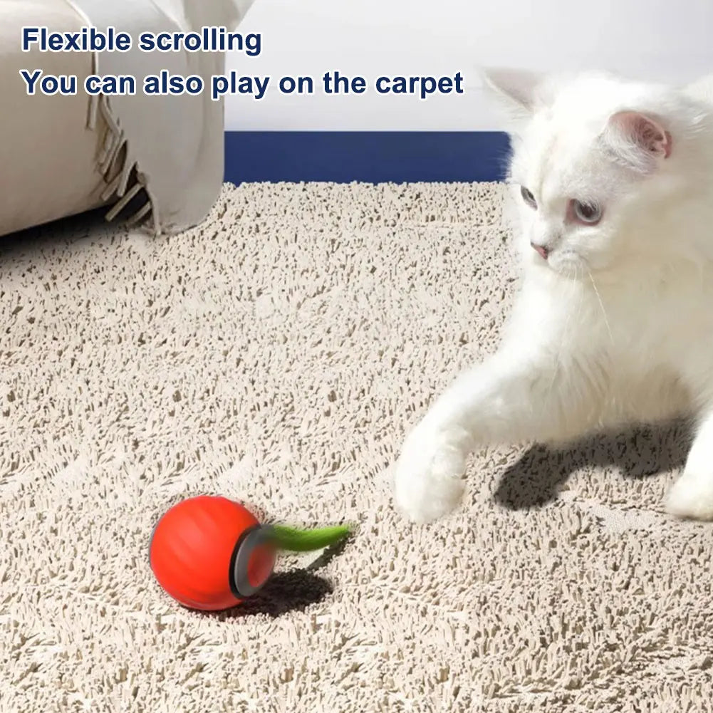 Interactive Rechargeable Ball for Puppies, Dogs & Cats.