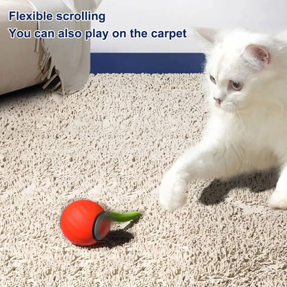 Interactive Rechargeable Ball for Puppies, Dogs & Cats.