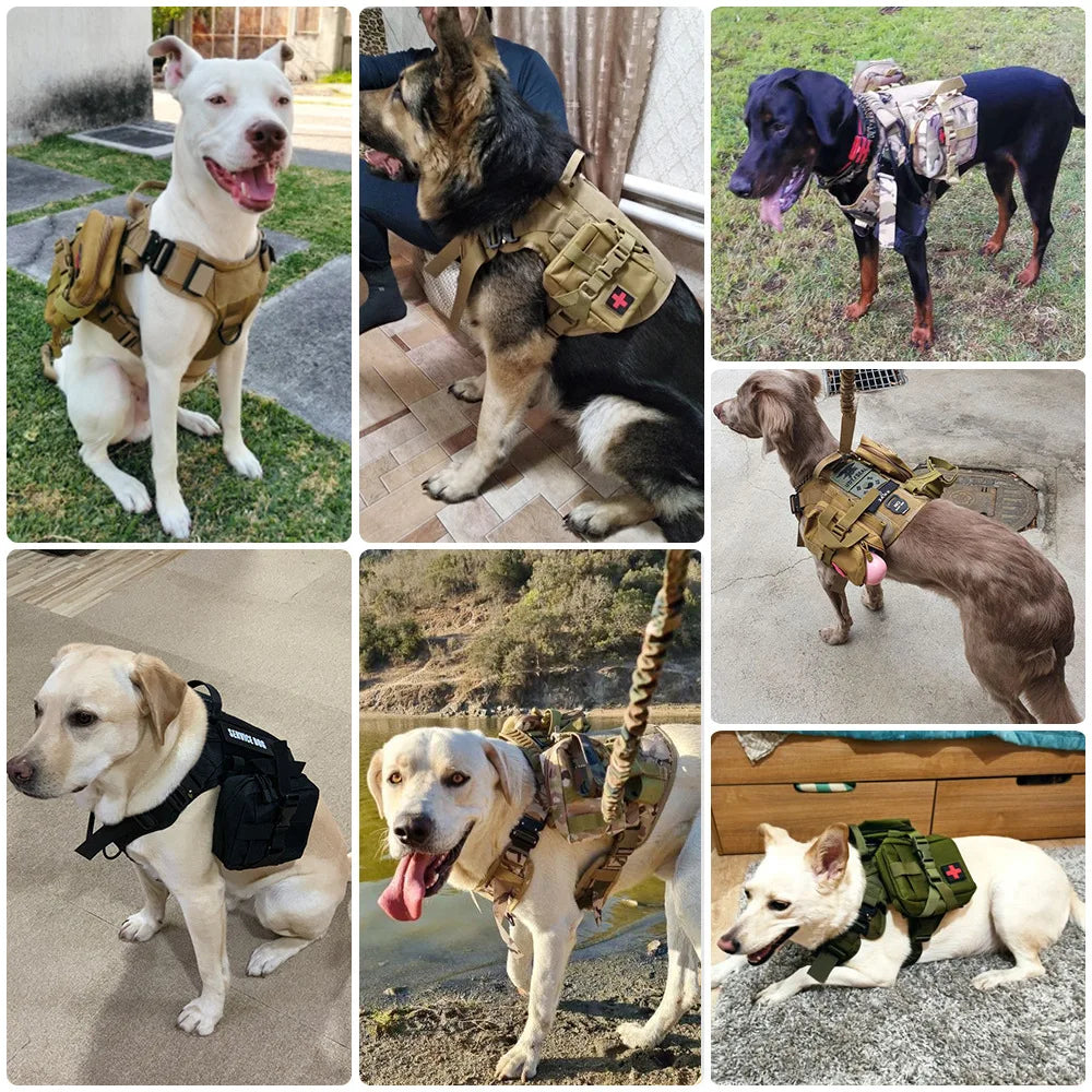 Gear up your large dog with this tactical bag set. These durable pouches attach securely to harnesses or belts, giving you space for treats, training tools, and essentials. Rugged, lightweight, and perfect for working dogs, t