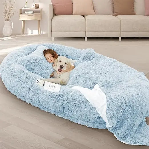 Oversized 71x45x12 Memory Foam Bed with Pillow, Blanket & Strap. Custom Grey Memory Foam Bed for Adults & Large Pets.