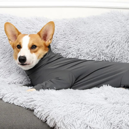 One‑Piece Recovery Suit for Dogs