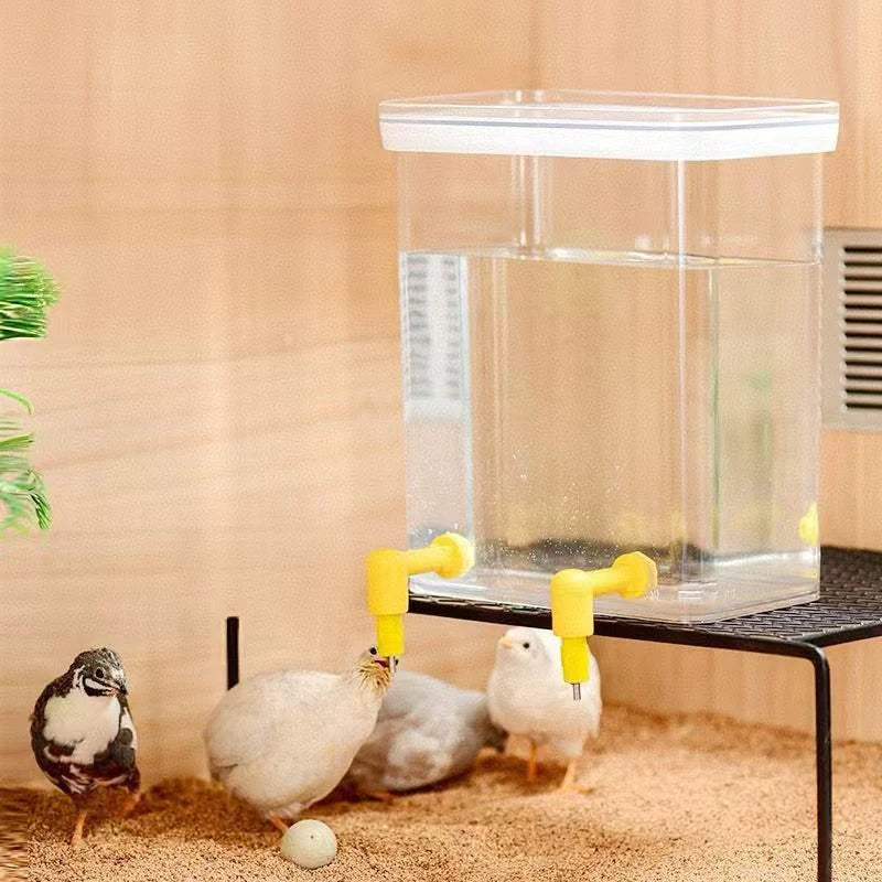 Fully Automatic Needle Water Dispenser Lubing Automatic Water Dispenser Quail Chick Double Sealed