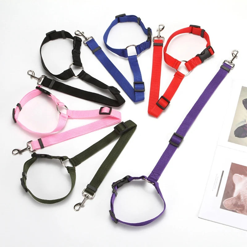 Backseat Safety Restraint for Dogs & Puppies,