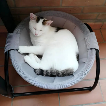 Elevated Hammock Bed for Dogs & Cats