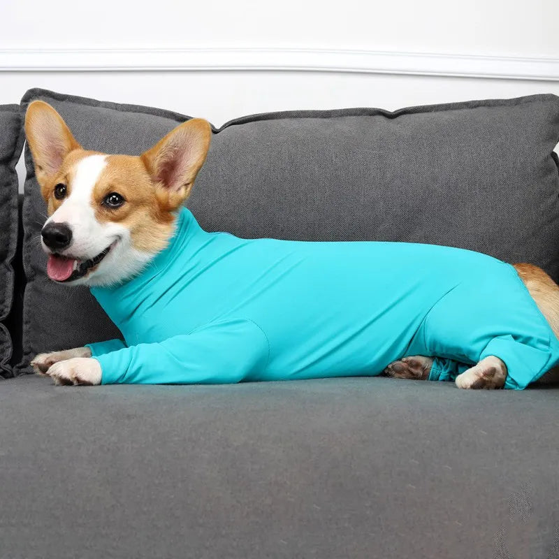 One‑Piece Recovery Suit for Dogs