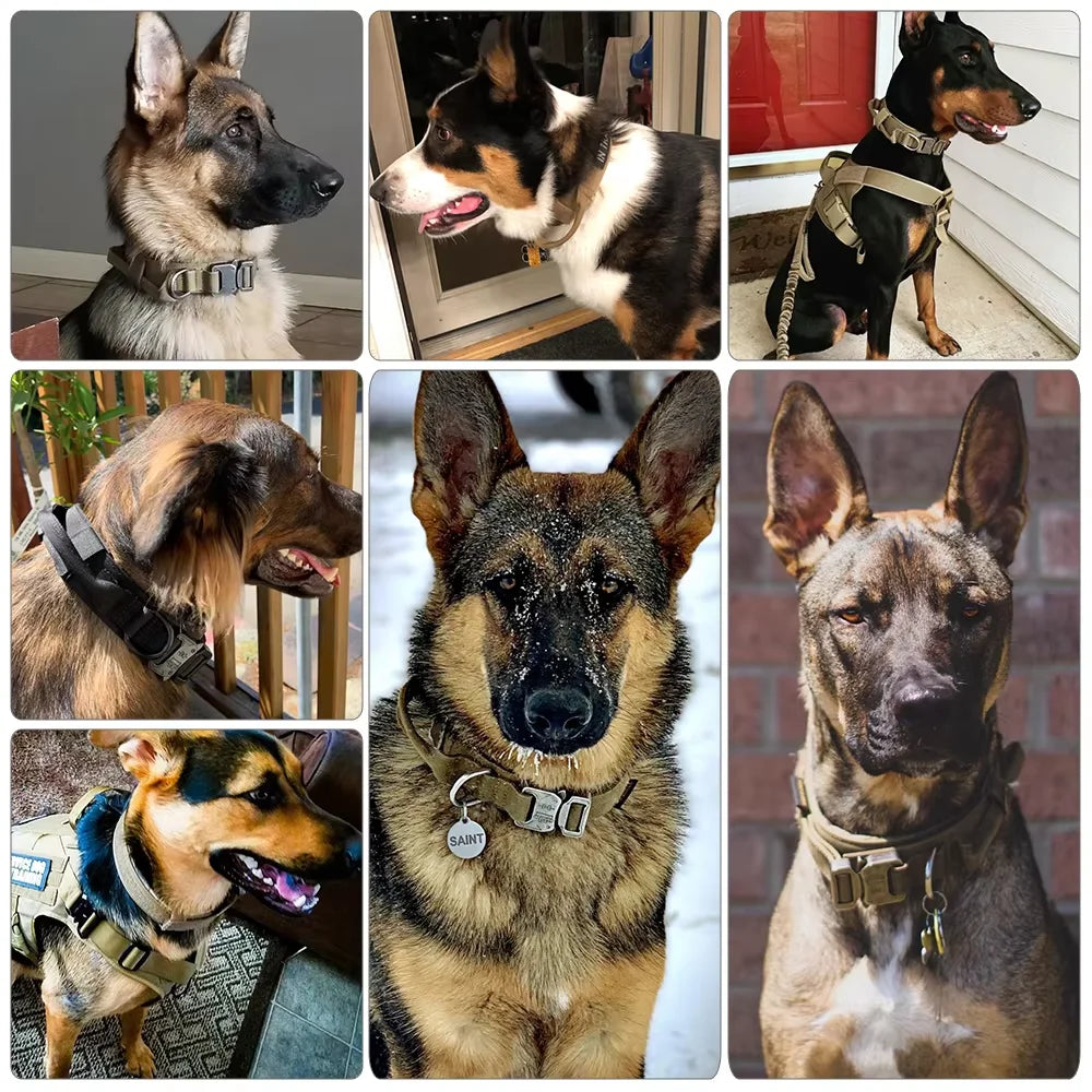 Strong Tactical Dog Collar & Lead – Control Handle