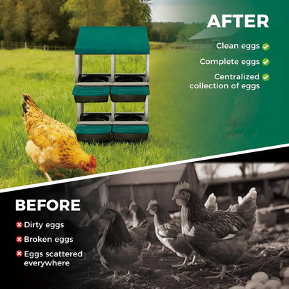Automatic Egg‑Collecting Nesting Box