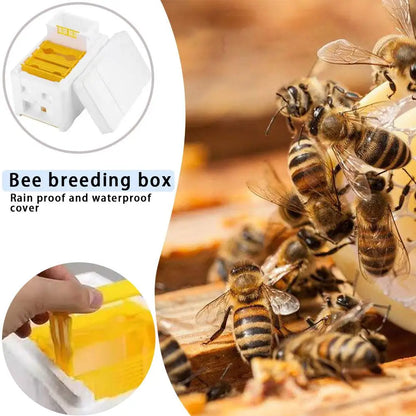 1–5 PCS Queen Mating Beehive – Lightweight Foam Nuc Box, Beekeeping Foam Hive Box