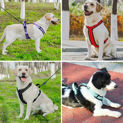 Pet Vest Harness for Small & Medium Dogs