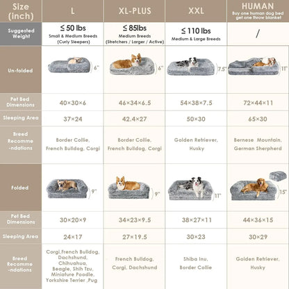 Foldable Human Dog Bed with orthopedic memory foam, waterproof lining, non‑slip bottom, and those big 72x44x11 dimensions