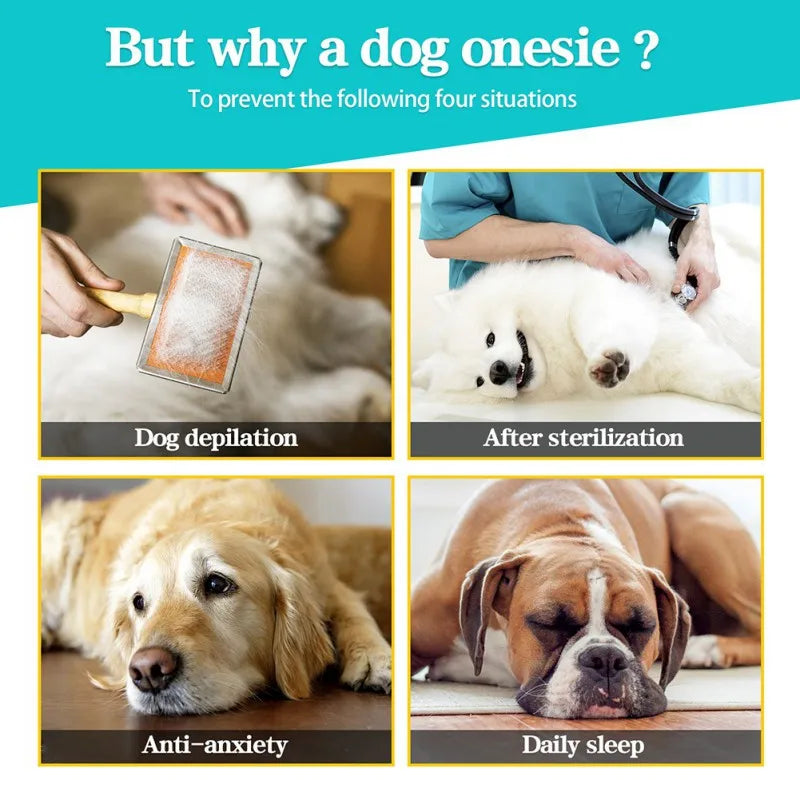 One‑Piece Recovery Suit for Dogs