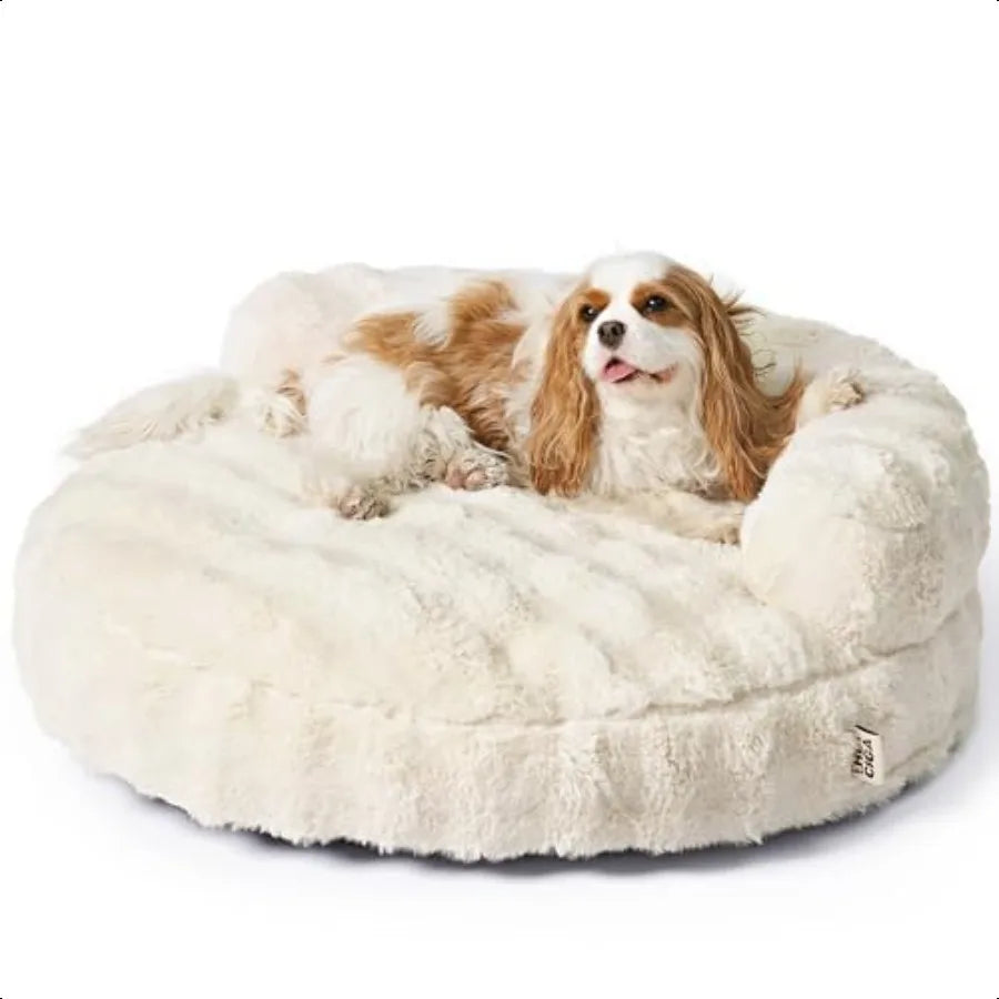 Washable Dog & Cat Bed for Small–Medium Pets