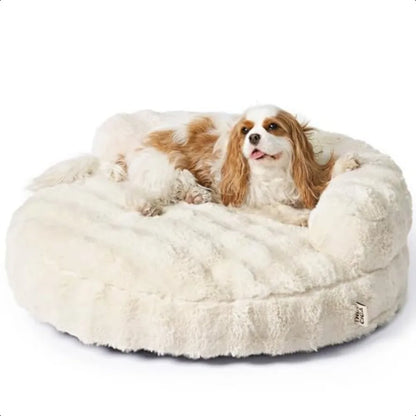 Washable Dog & Cat Bed for Small–Medium Pets
