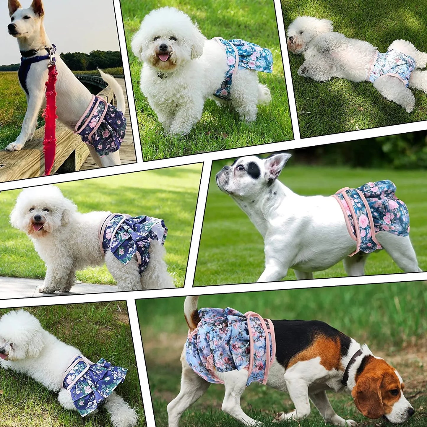 Reusable Female Dog Diapers with Adjustable Straps