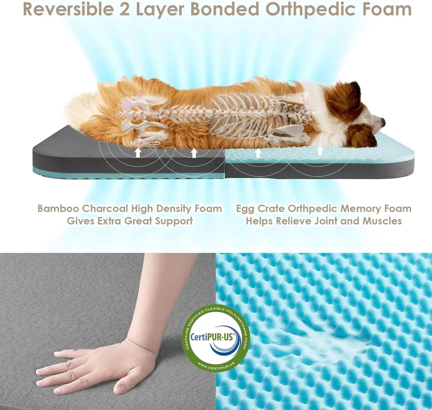 Foldable Human Dog Bed with orthopedic memory foam, waterproof lining, non‑slip bottom, and those big 72x44x11 dimensions