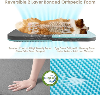 Foldable Human Dog Bed with orthopedic memory foam, waterproof lining, non‑slip bottom, and those big 72x44x11 dimensions