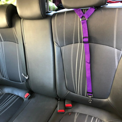 Backseat Safety Restraint for Dogs & Puppies,