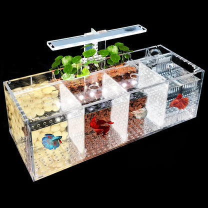 Acrylic Isolation Aquarium – LED, Heater & Pump for Betta Fish, Compact Betta Tank.