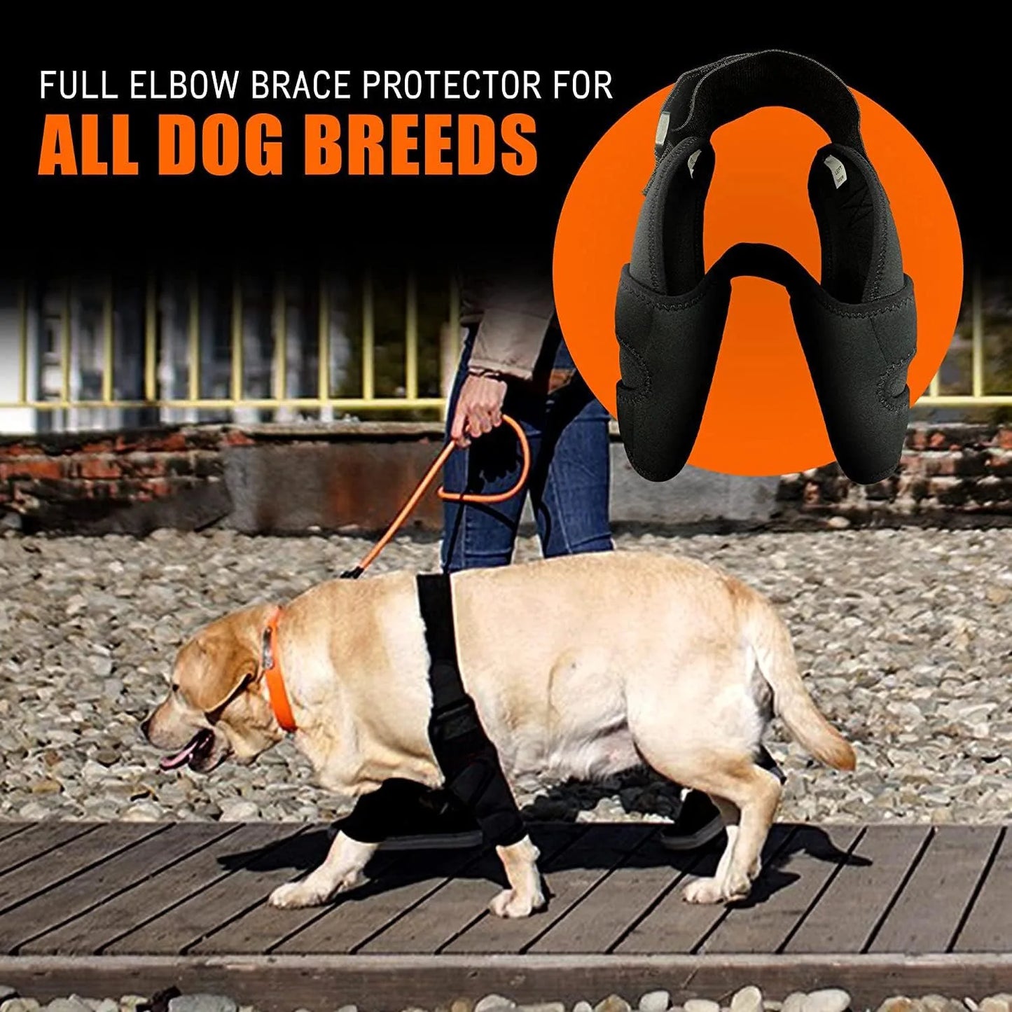 Front Leg Brace for Torn Ligaments & Elbow Issues
