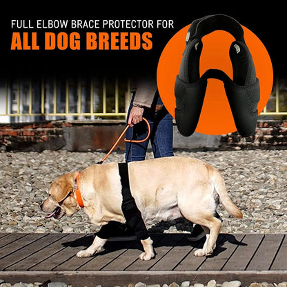 Front Leg Brace for Torn Ligaments & Elbow Issues