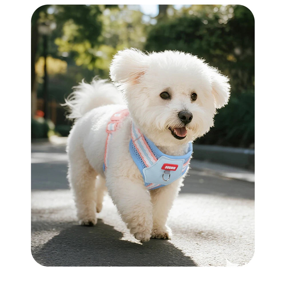 Small Dog Anti‑Escape Harness – Soft Vest Style, Adjustable Anti‑Escape Pet Harness for Small Breeds.