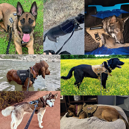 Train, walk, and handle your large dog with confidence using this durable harness and leash set. Designed for German Shepherds, Malinois, and other strong breeds, it offers secure control, a comfortable fit, and a sturdy coll