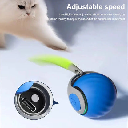 Interactive Rechargeable Ball for Puppies, Dogs & Cats.
