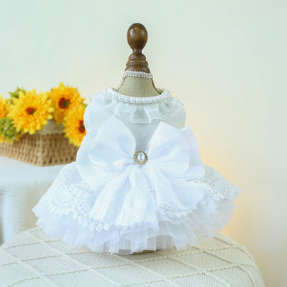 Elegant Puppy Princess Dress – Lace & Tulle Skirt