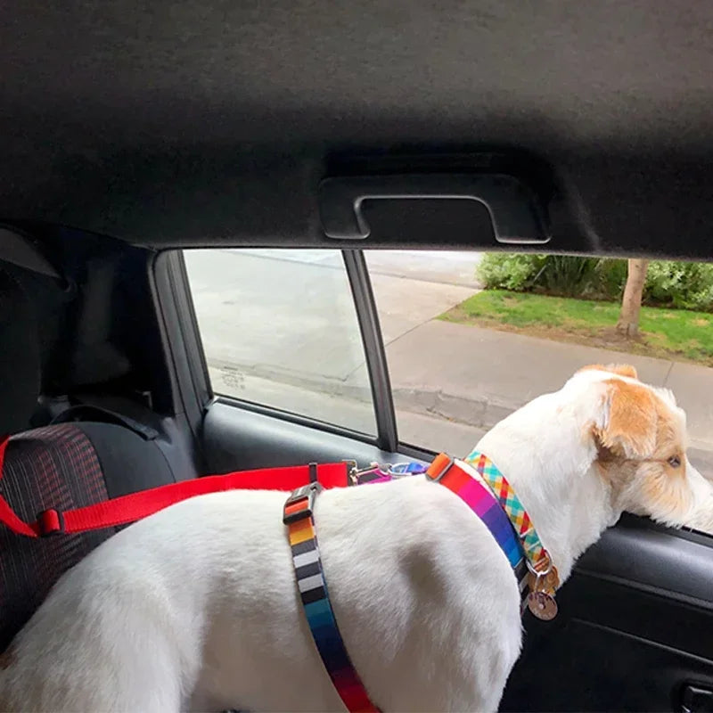 Backseat Safety Restraint for Dogs & Puppies,