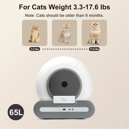 App‑Controlled Smart Litter Box with Accessories