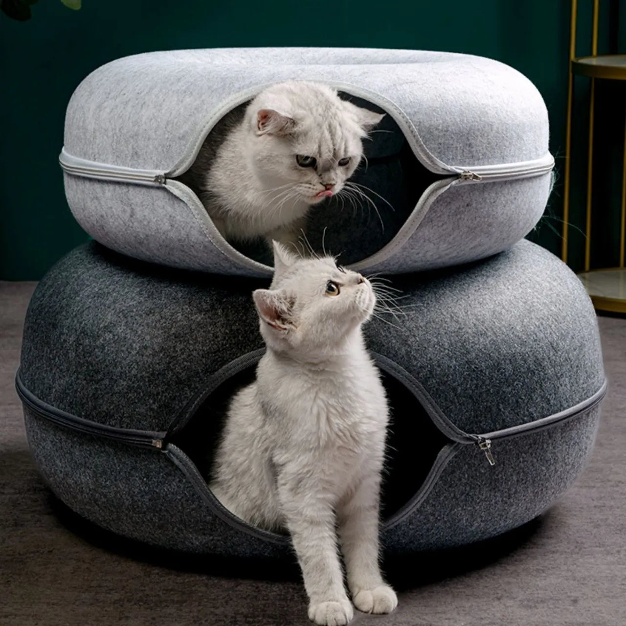 Interactive Cat Bed Tunnel for Play & Training