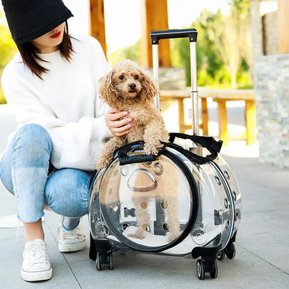 Portable Pet Trolley Case with Wheels